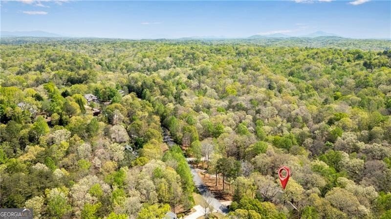 370 Mountain Trace Drive Dahlonega - Photo 39