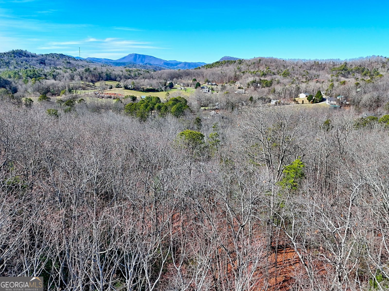 341 Abby Lane Clayton - Photo 136