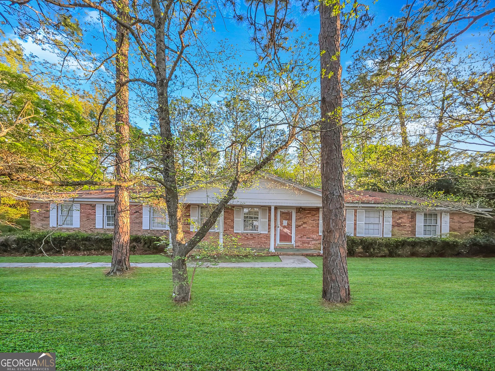 203 Debbie Drive Statesboro - main photo