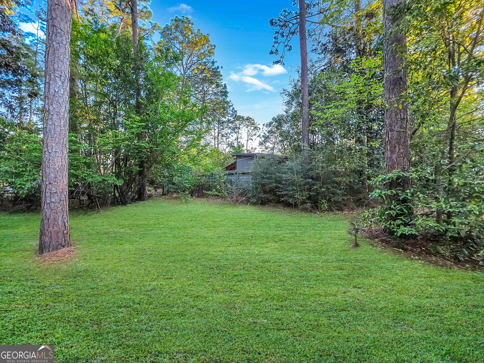203 Debbie Drive Statesboro - Photo 8