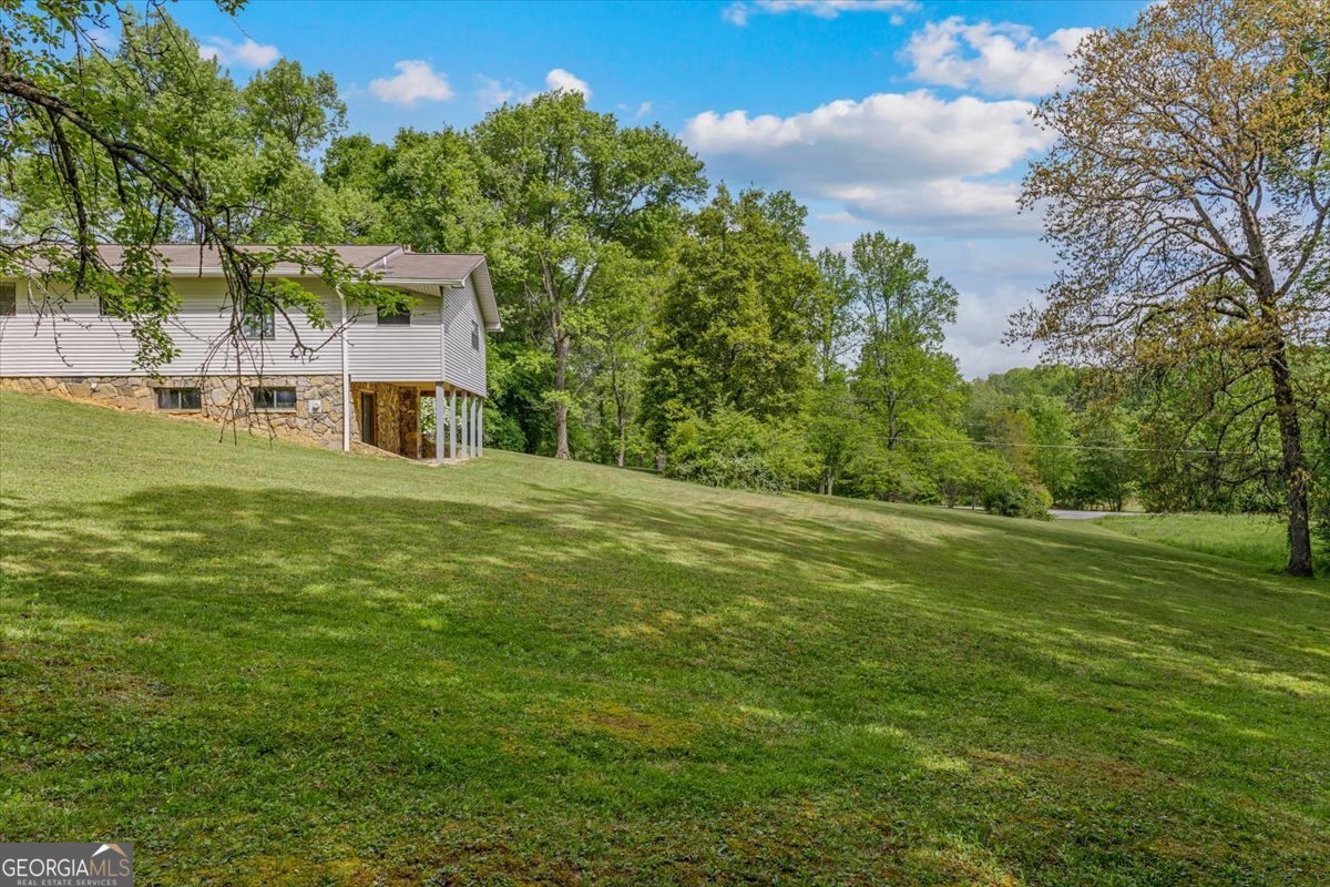 134 Old Gumlog Road Blairsville - Photo 42