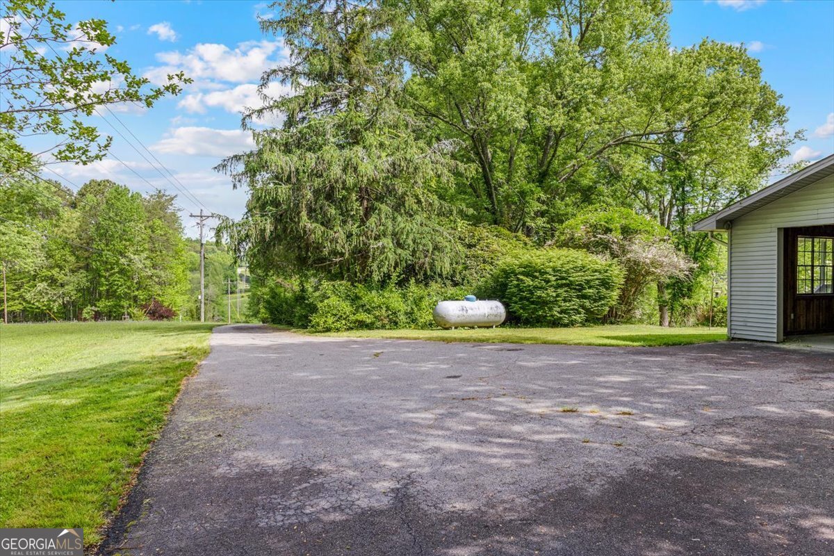 134 Old Gumlog Road Blairsville - Photo 44