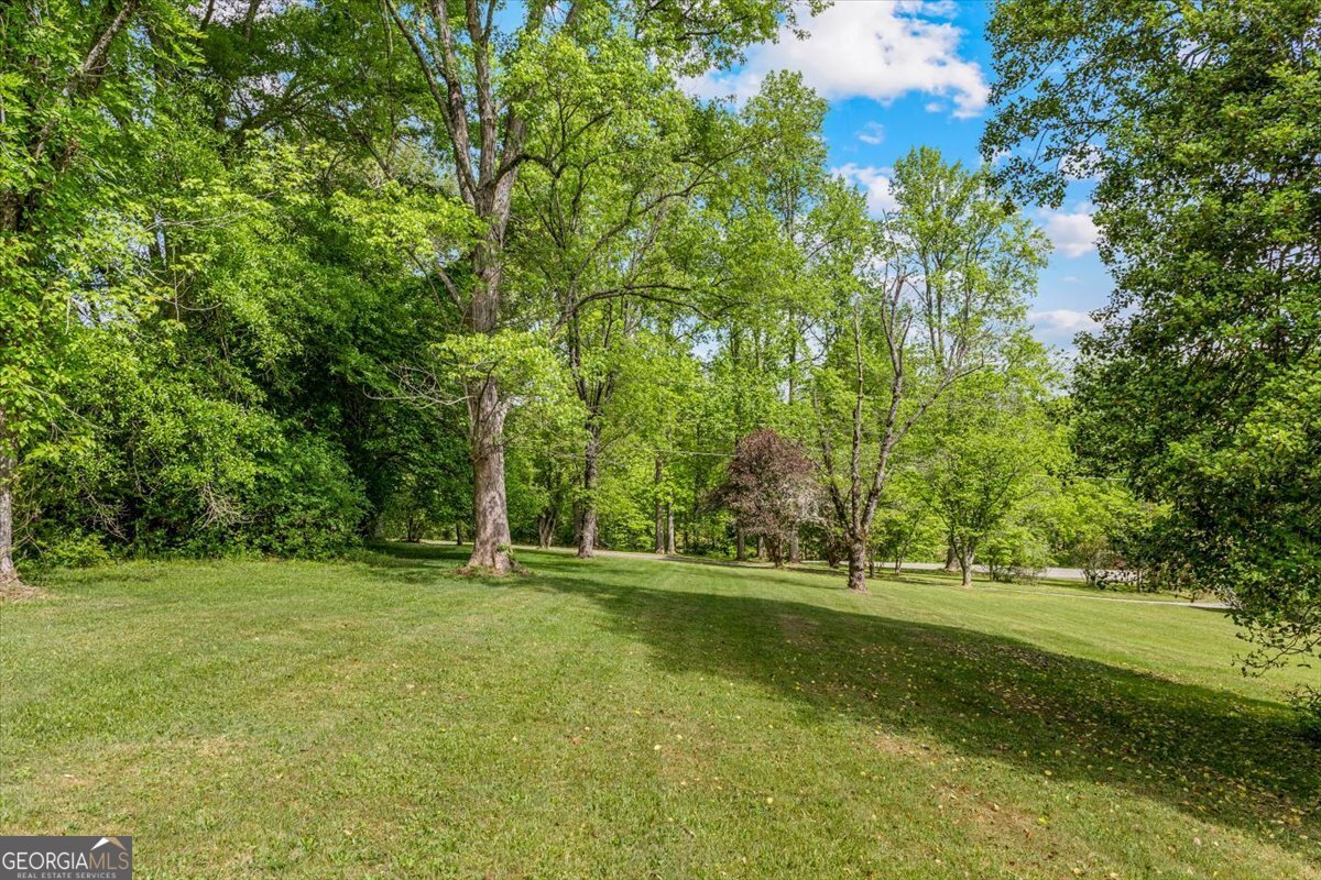 134 Old Gumlog Road Blairsville - Photo 46