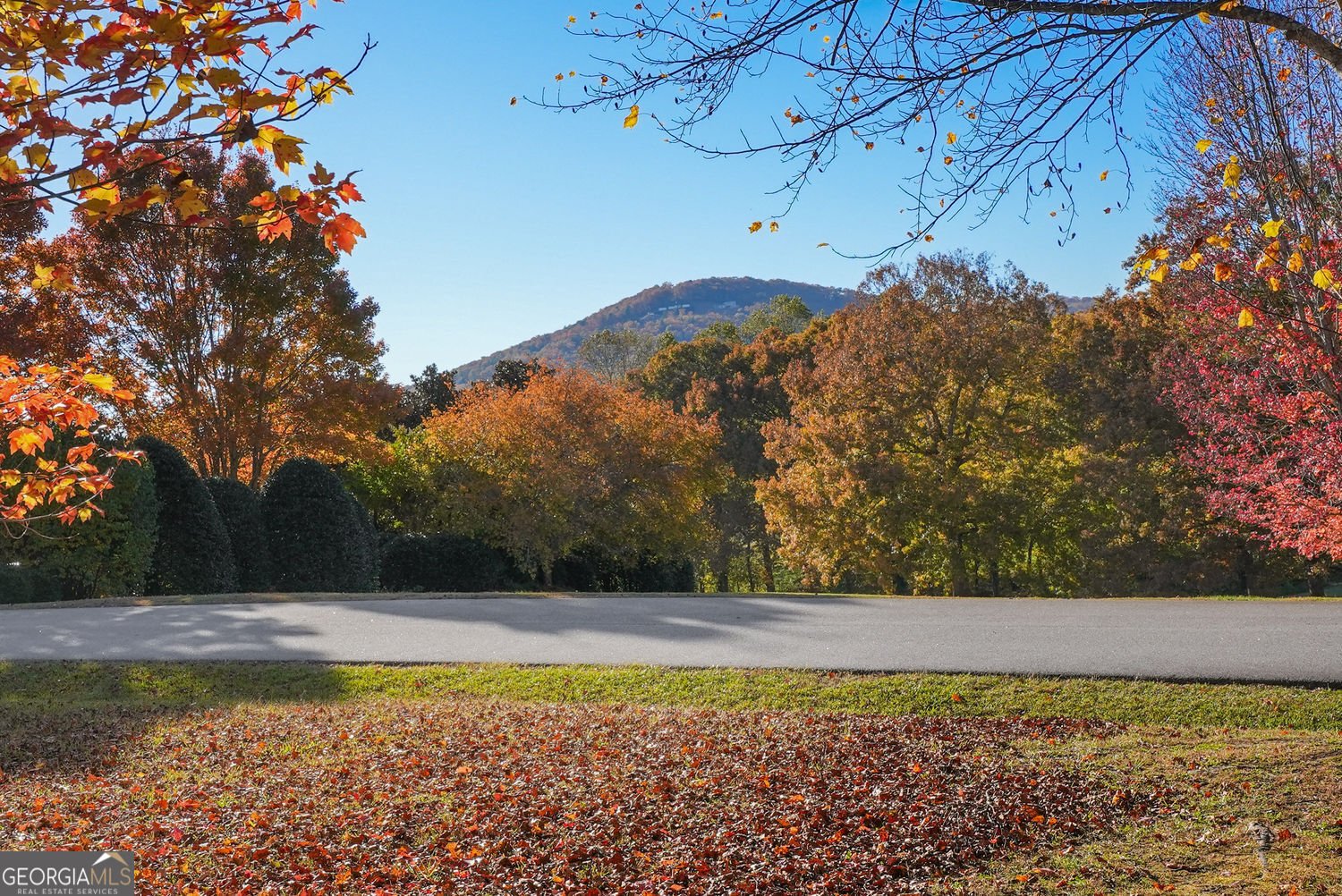 469 Rome Beauty Lane Clarkesville - Photo 25