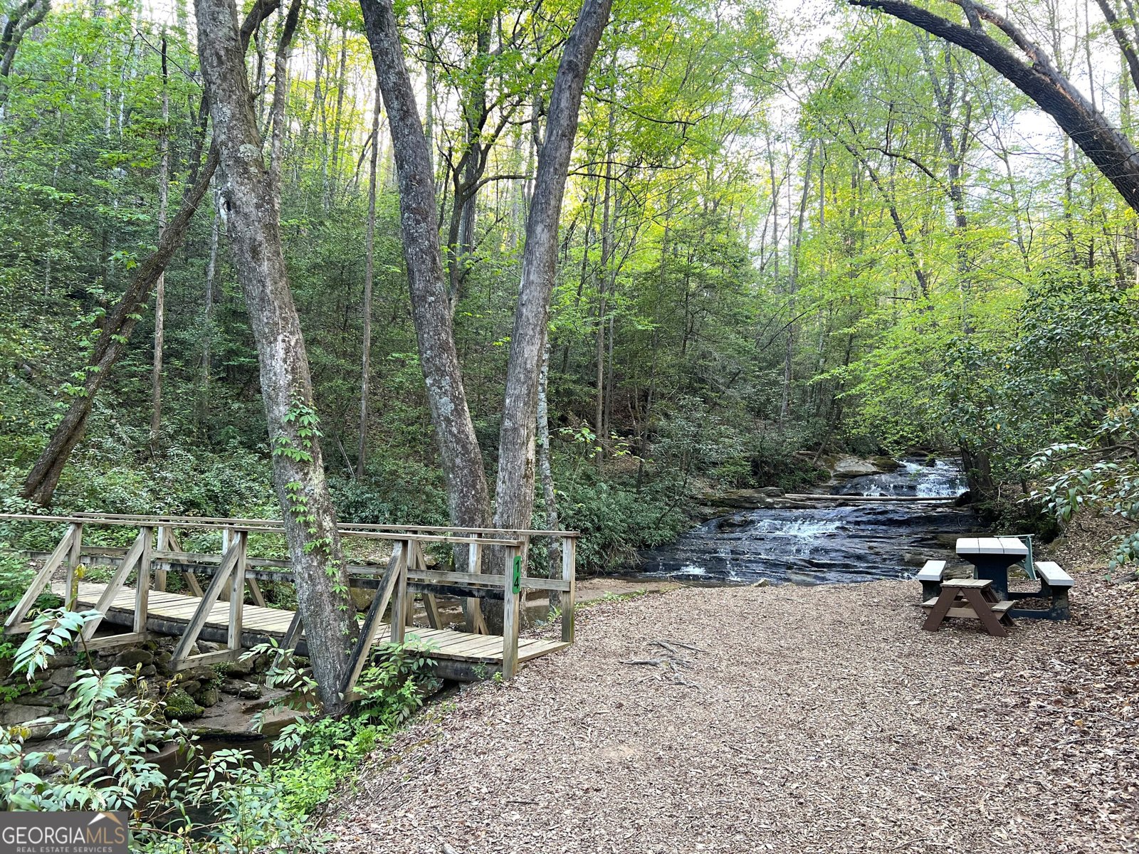 116 Blue Ridge Drive Sautee Nacoochee - Photo 32