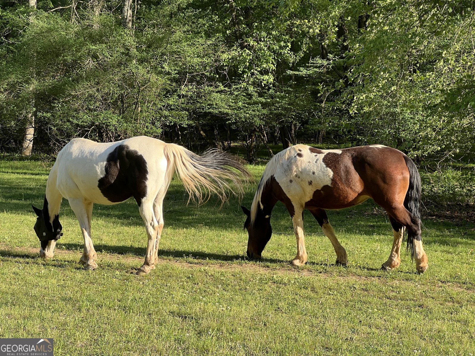 116 Blue Ridge Drive Sautee Nacoochee - Photo 33