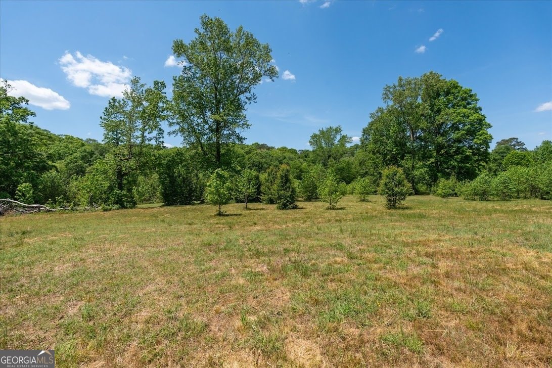 1172 Alabama Street Carrollton - Photo 58