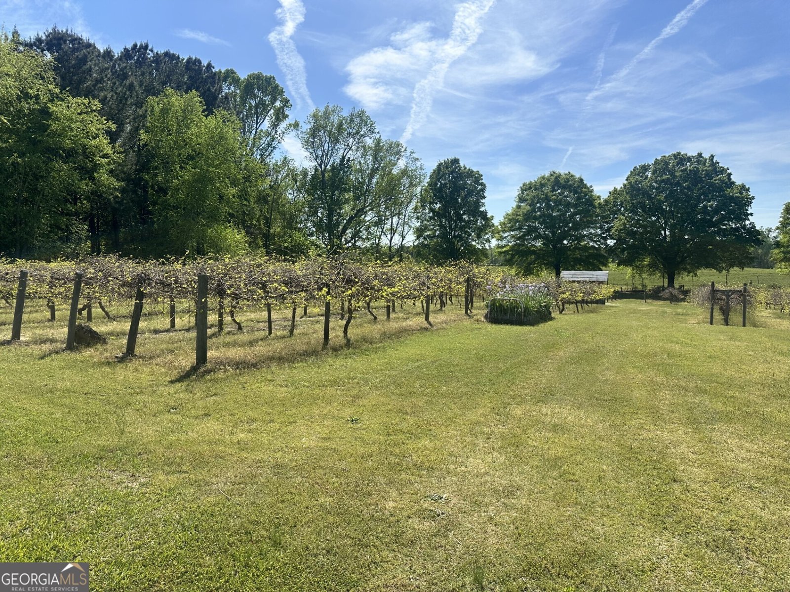 308 Deer Run Williamson - Photo 6