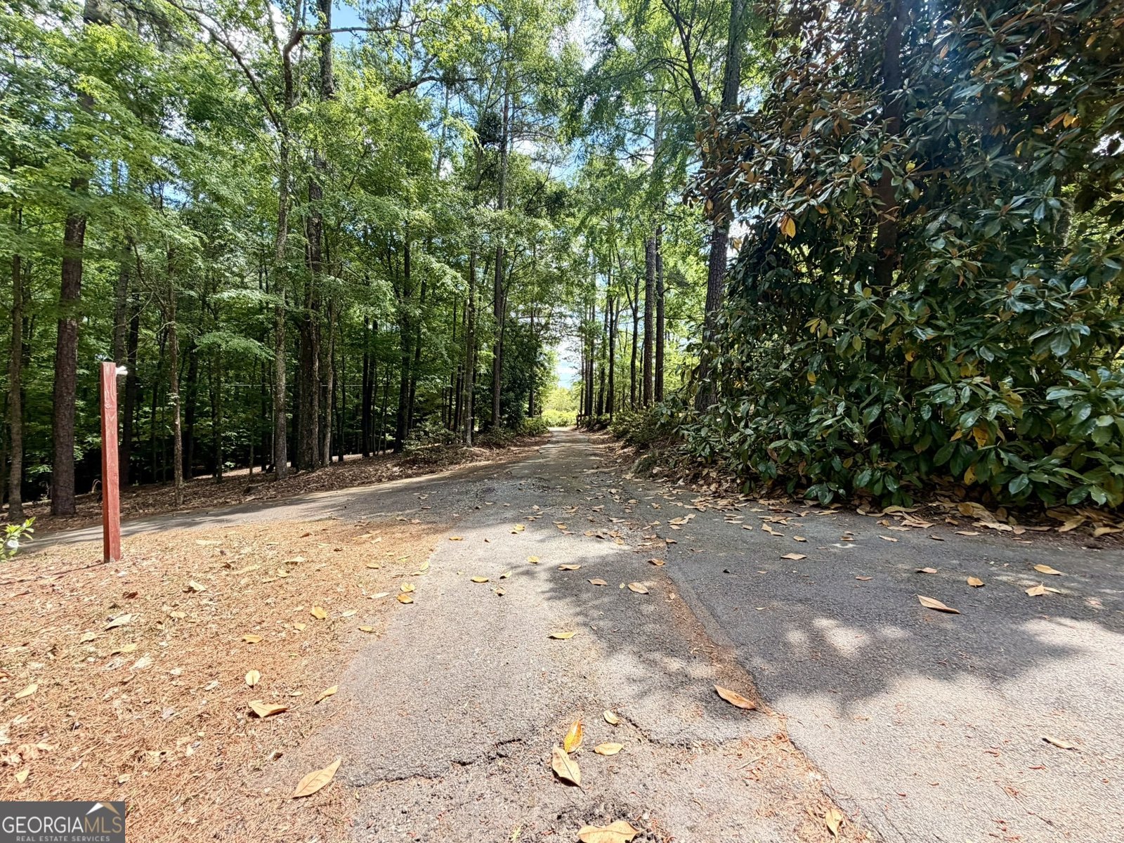 213 Stembridge Road Milledgeville - Photo 83