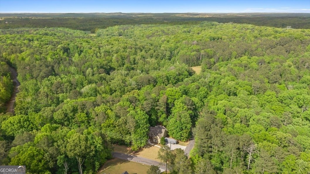 8141 Spruce Court Villa Rica - Photo 59