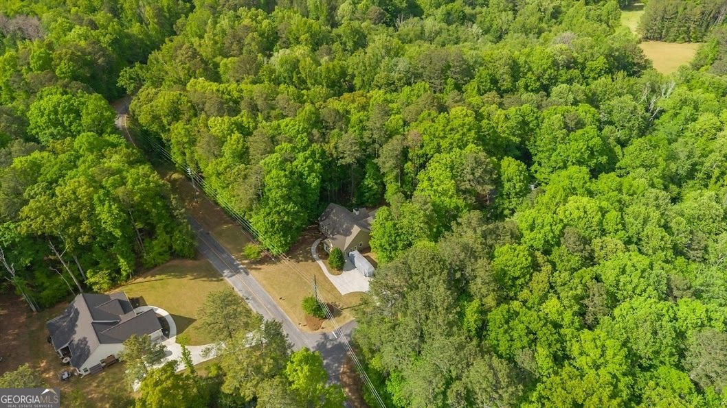 8141 Spruce Court Villa Rica - Photo 60