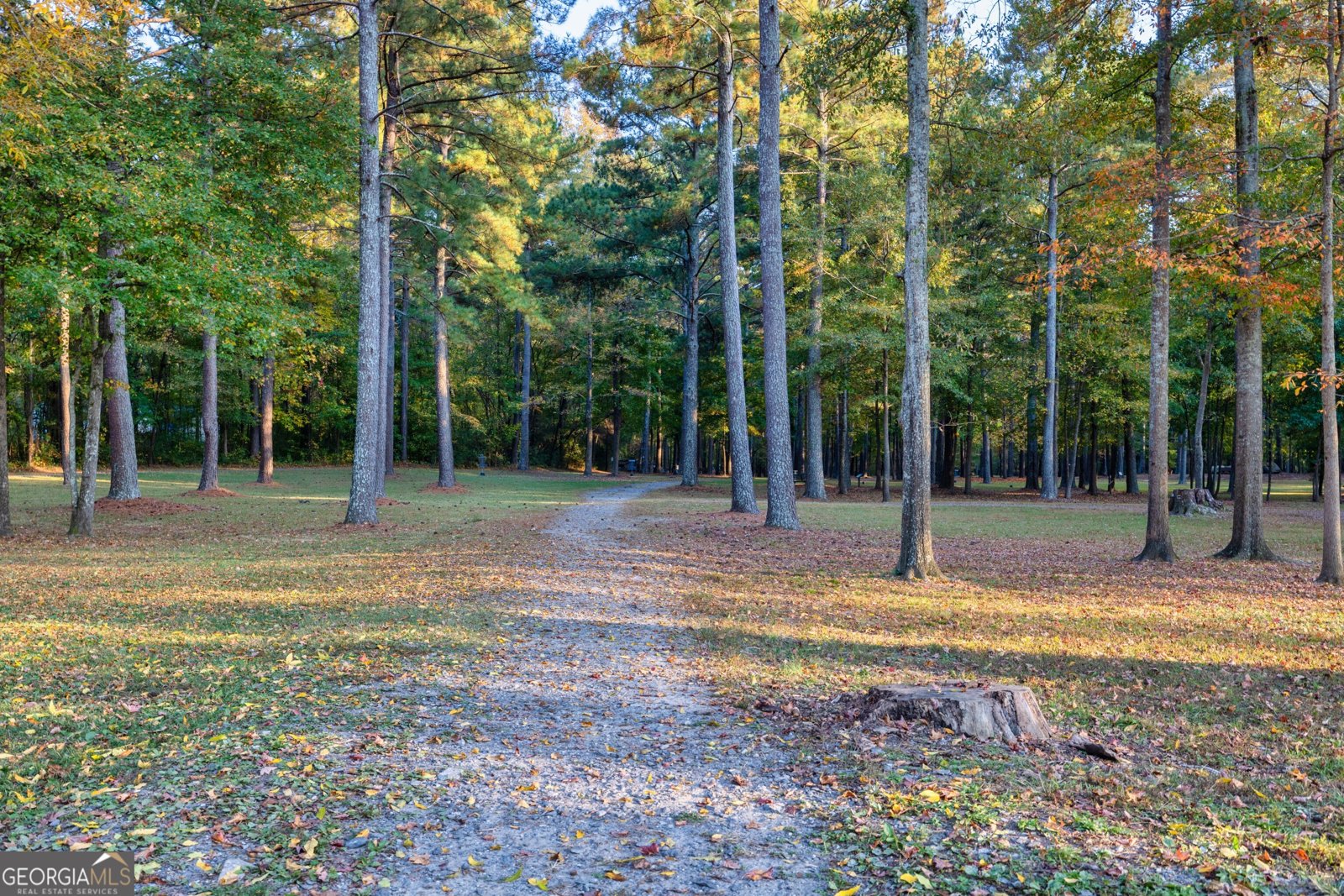 16 Benscot Drive Austell - Photo 40