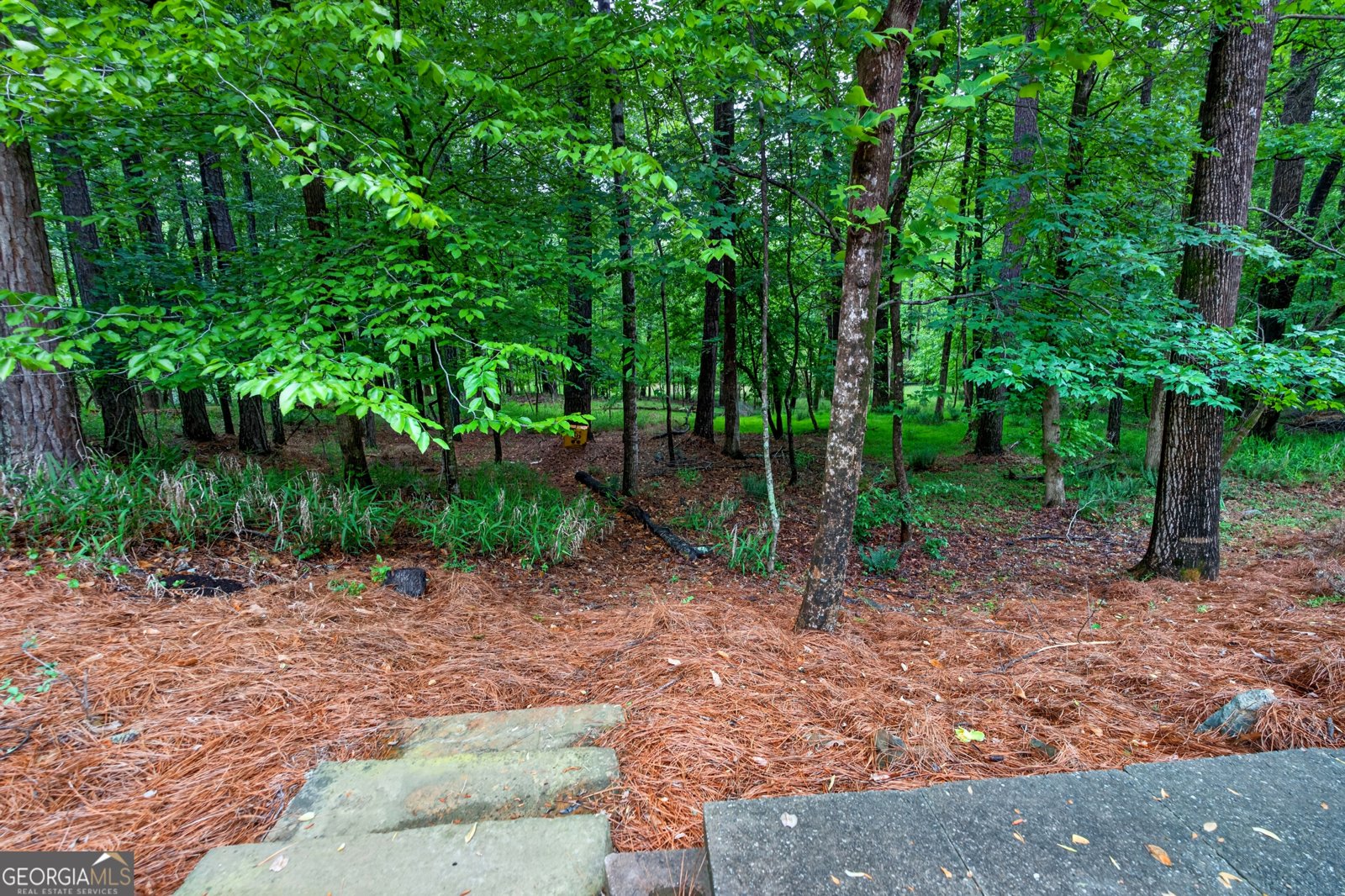 5548 Farmside Way Johns Creek - Photo 92