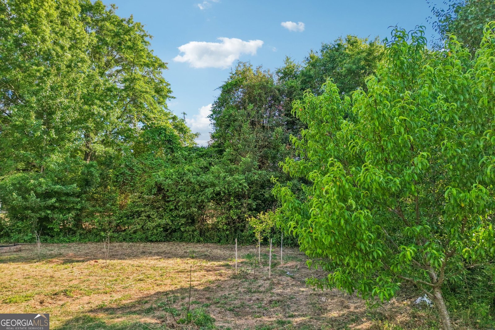 1354 Horseshoe Bend Lane Bogart - Photo 51