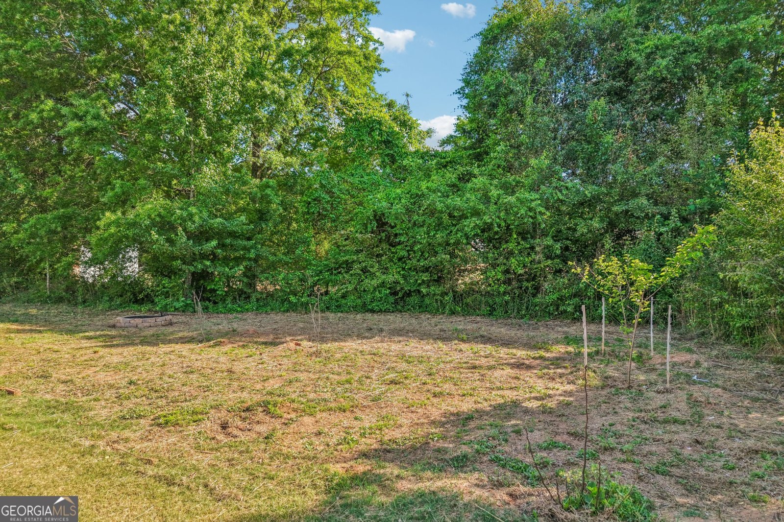 1354 Horseshoe Bend Lane Bogart - Photo 54