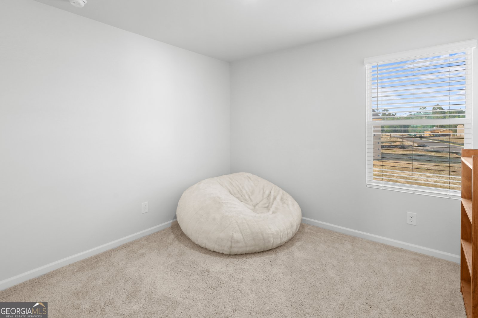 119 Stillhouse Drive Springfield - Photo 19