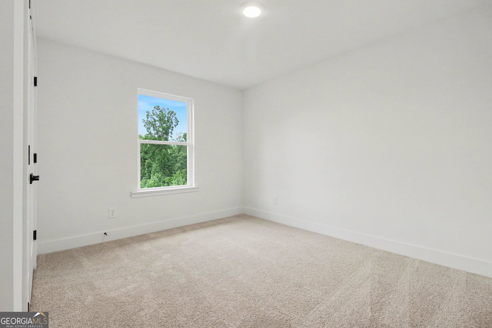 261 Thunder Valley Dawsonville - Photo 30