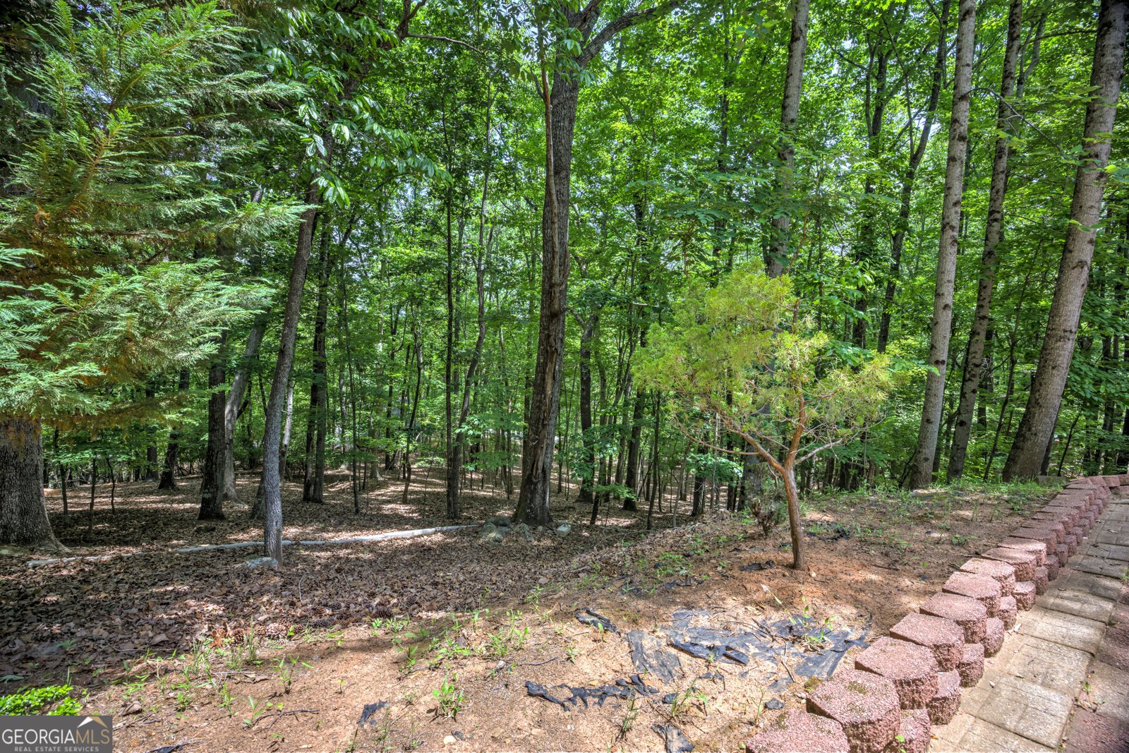 24 Sal Mountain Way Sautee Nacoochee - Photo 55