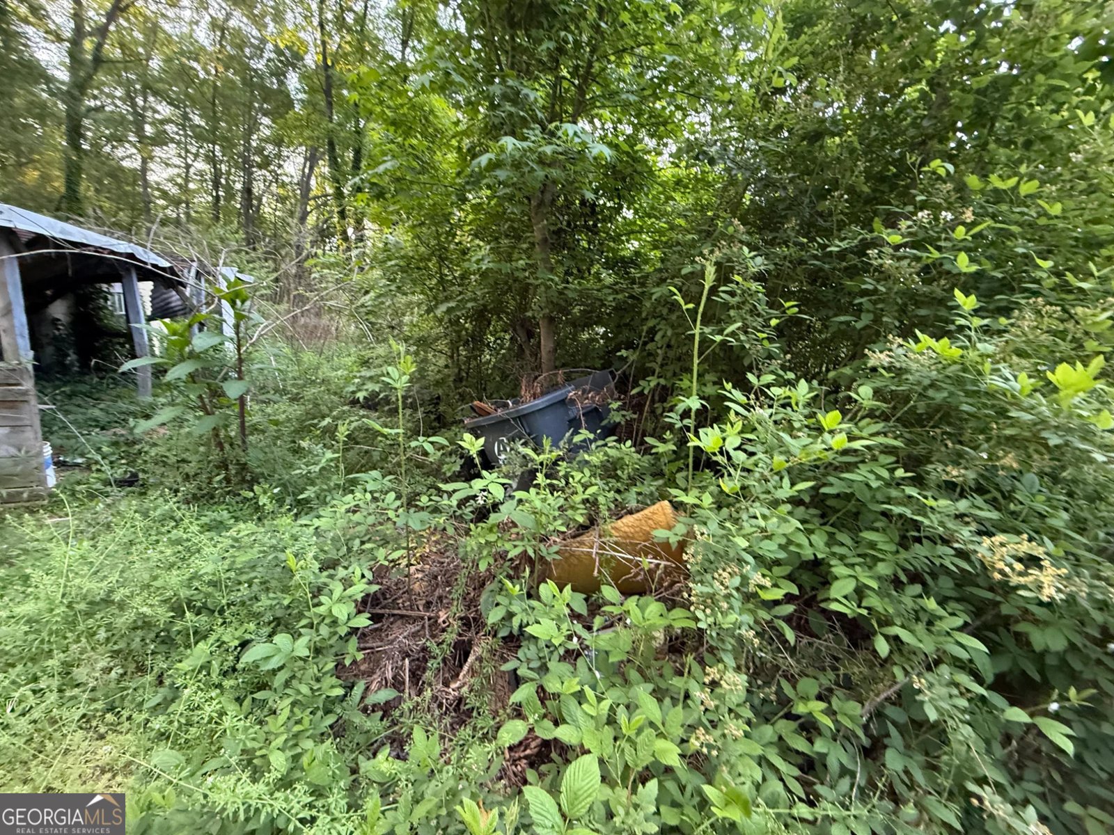 224 Boulder Lane Locust Grove - Photo 23