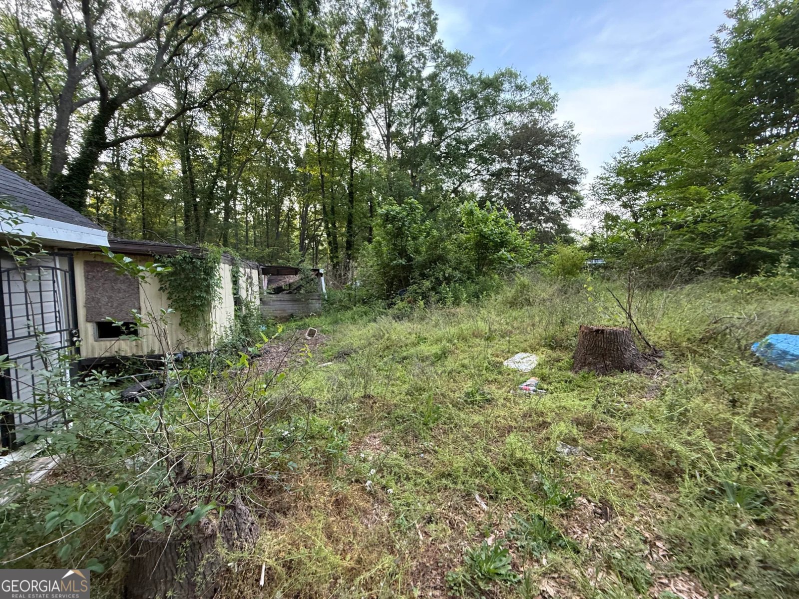 224 Boulder Lane Locust Grove - Photo 24