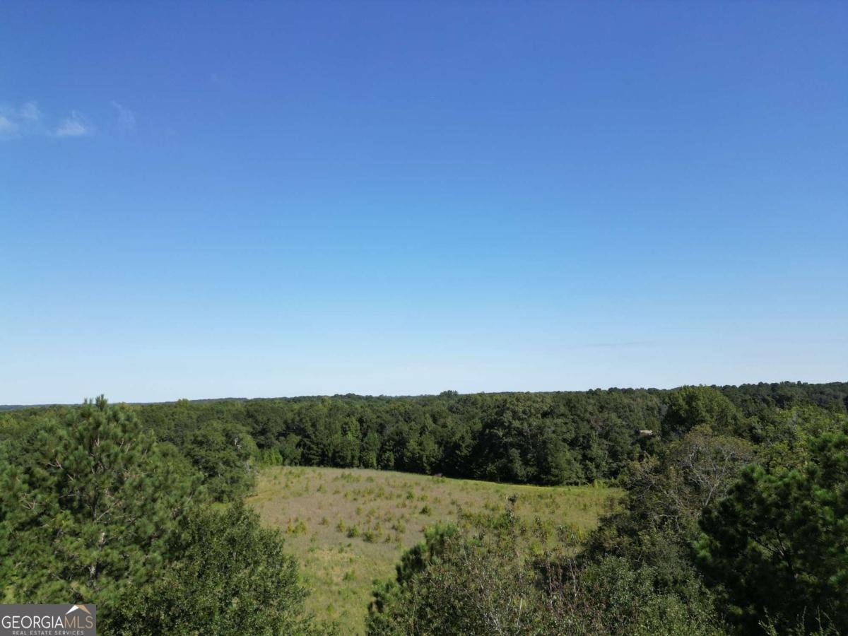 1170 Ash Road Bishop - Photo 38