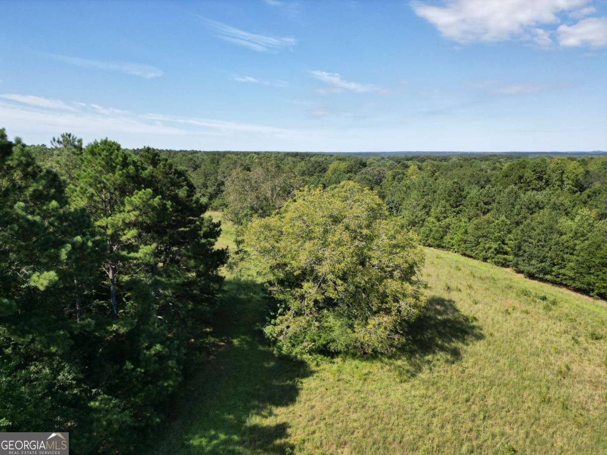 1170 Ash Road Bishop - Photo 39