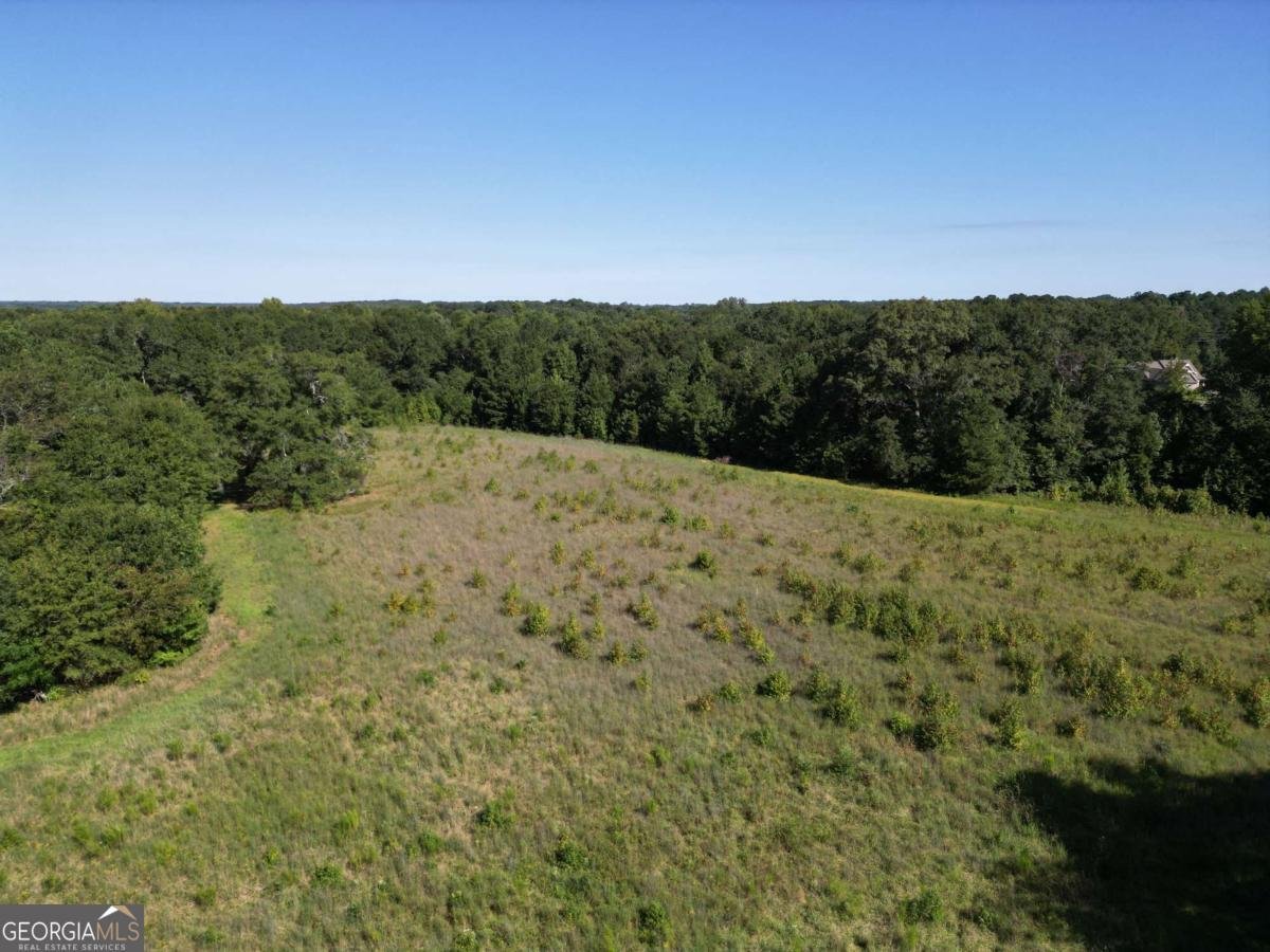 1170 Ash Road Bishop - Photo 40