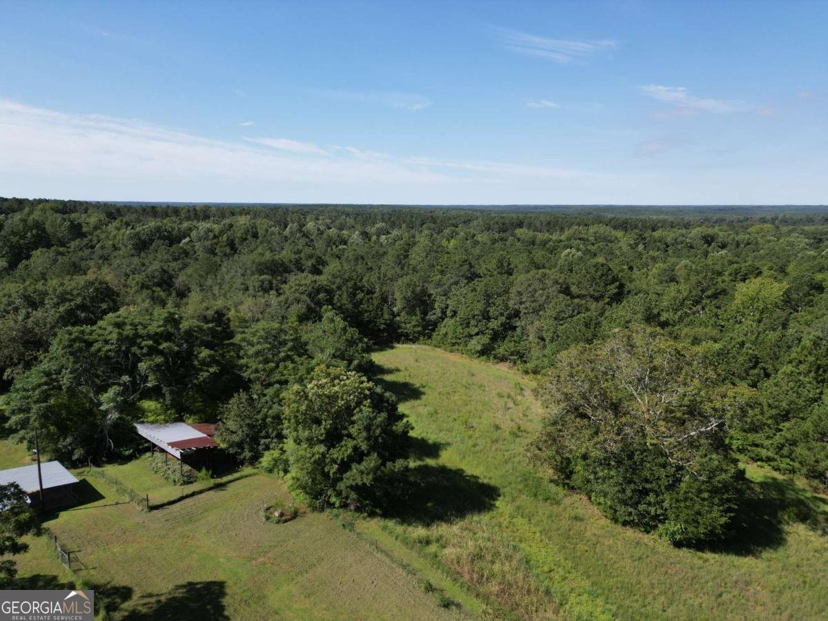 1170 Ash Road Bishop - Photo 41