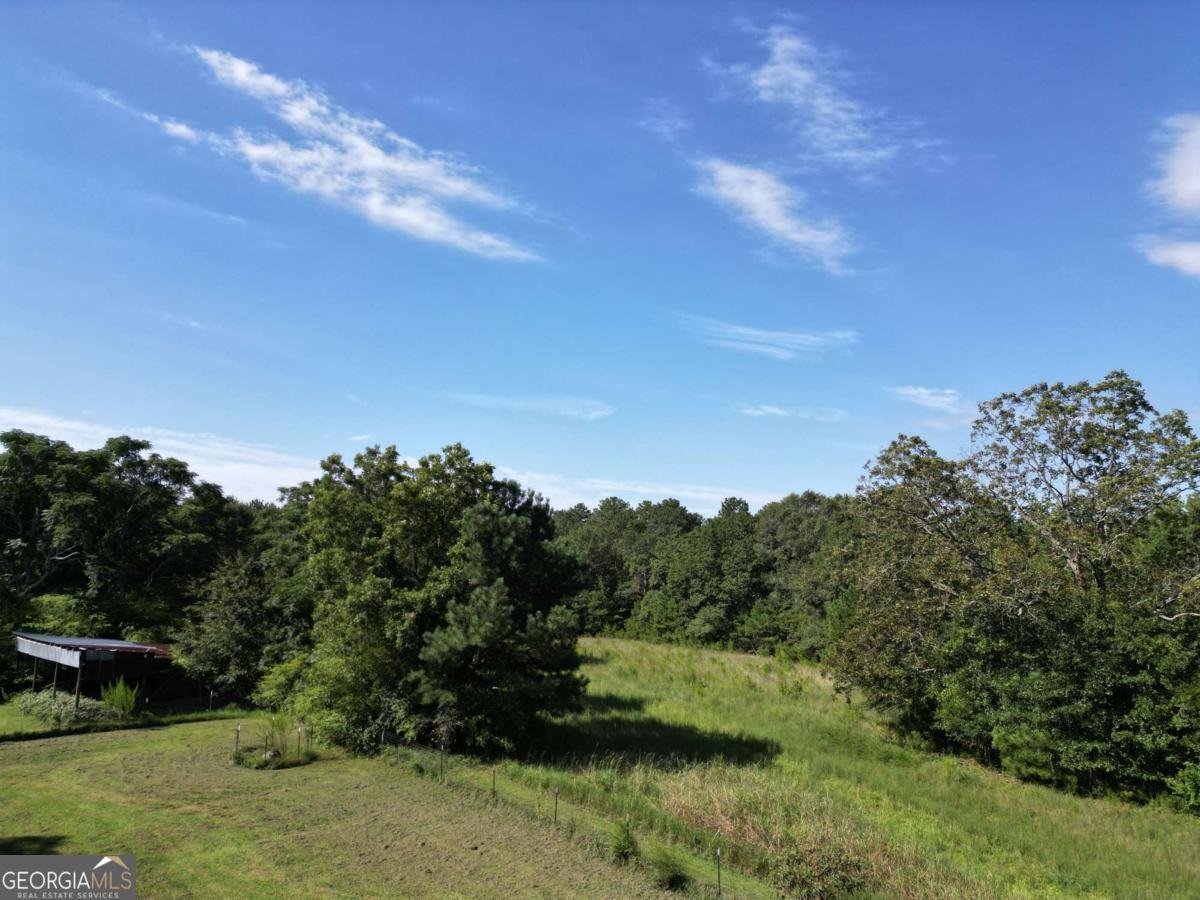 1170 Ash Road Bishop - Photo 42