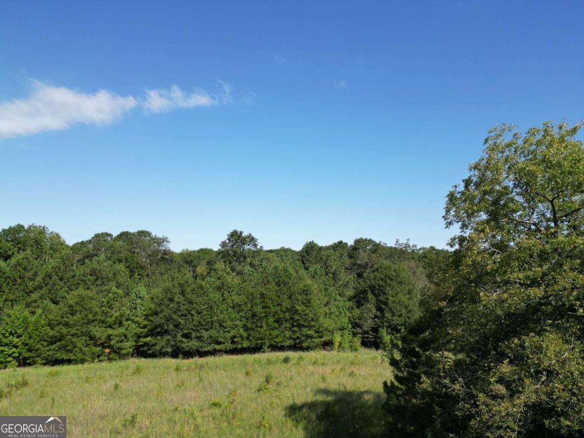 1170 Ash Road Bishop - Photo 43