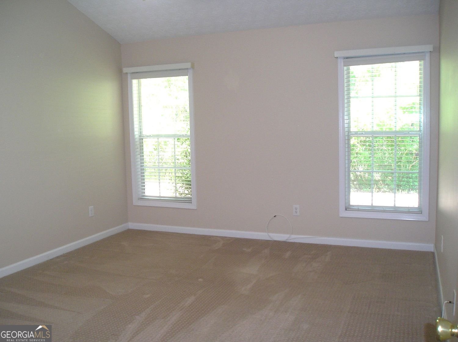 2313 Carlton Chase Road Dacula - Photo 18