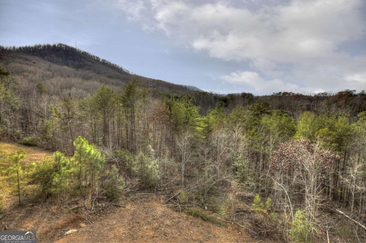 3804 Aska Road Blue Ridge - Photo 17