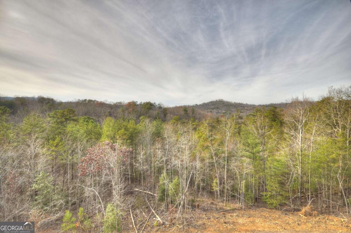 3804 Aska Road Blue Ridge - Photo 18
