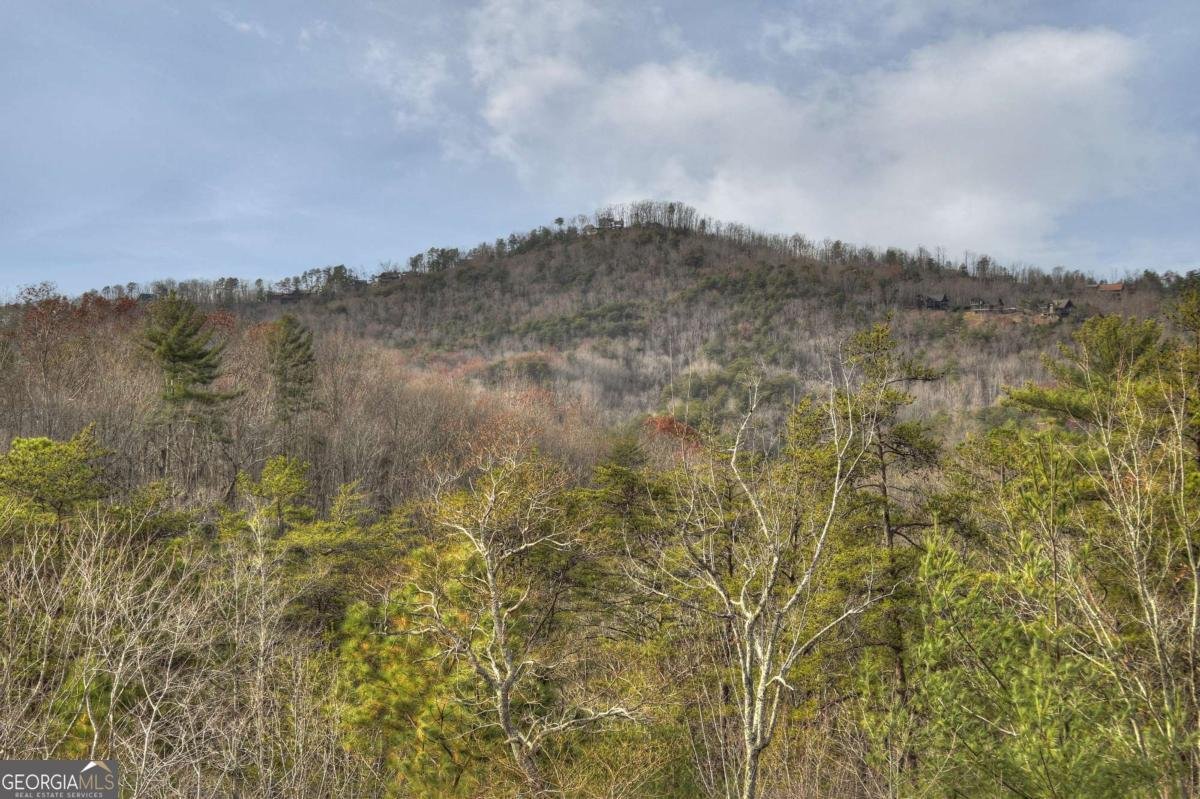 3804 Aska Road Blue Ridge - Photo 39