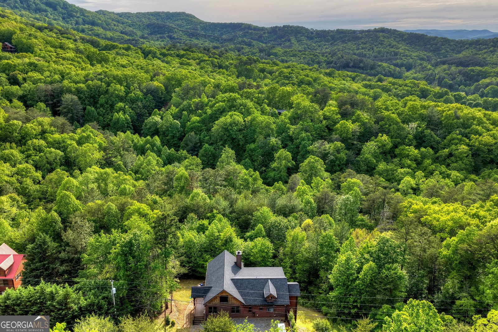 3804 Aska Road Blue Ridge - Photo 56
