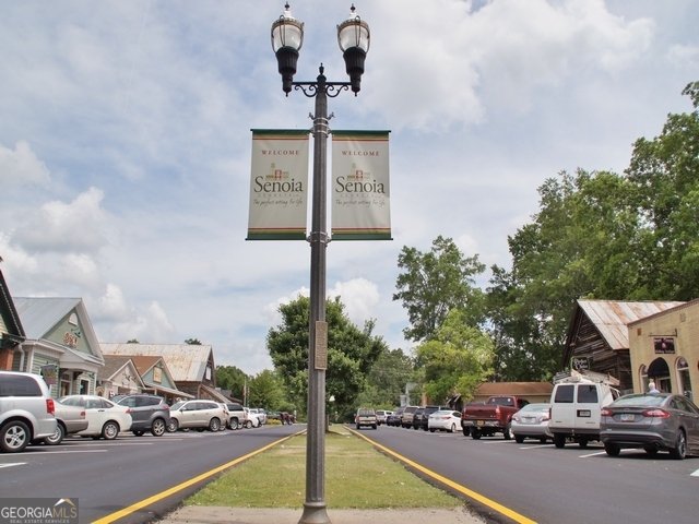 305 Traditions Way Senoia - Photo 107
