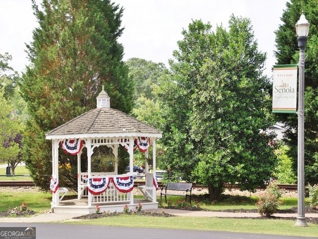 305 Traditions Way Senoia - Photo 109