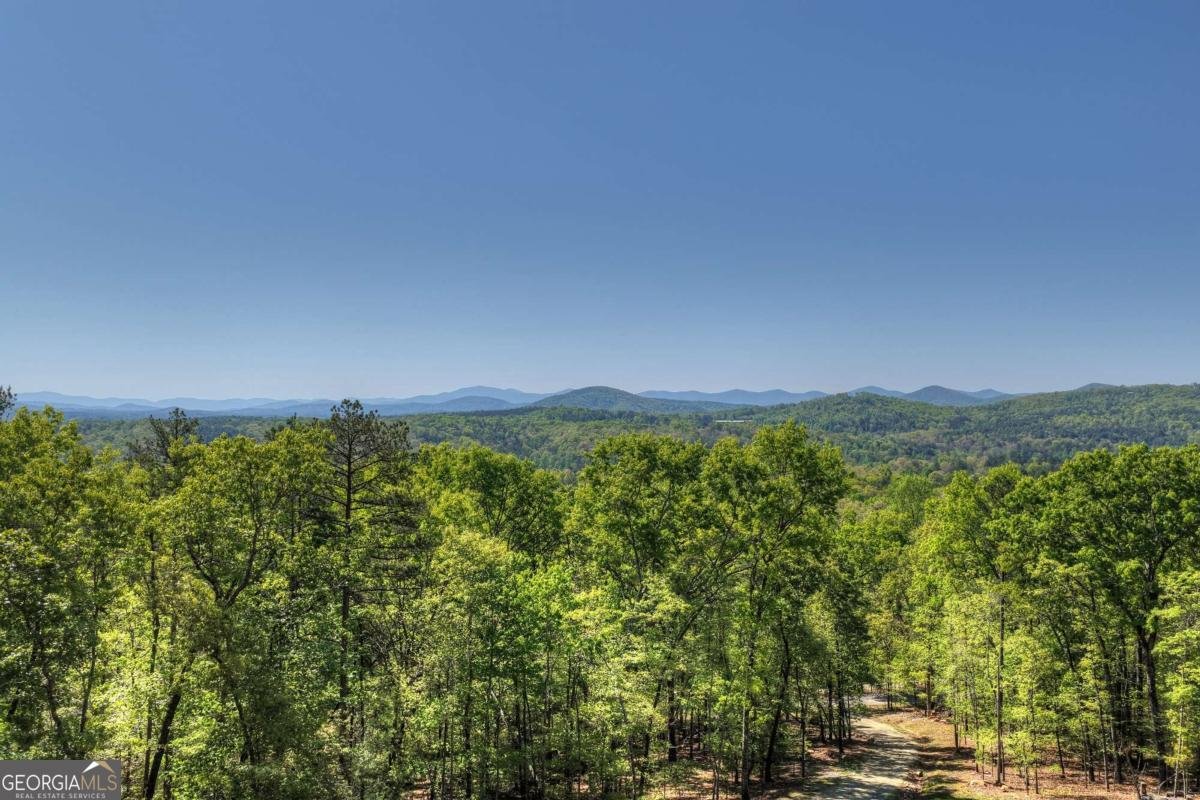 769 Voylestown Road Morganton - Photo 29