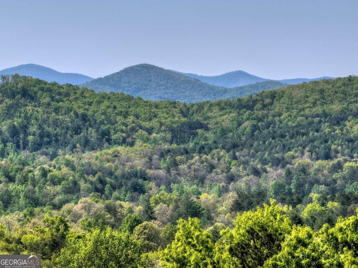 769 Voylestown Road Morganton - Photo 55