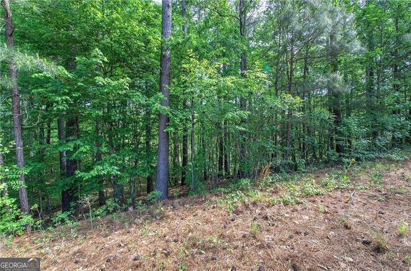 60 Amberlily Court Dallas - Photo 61