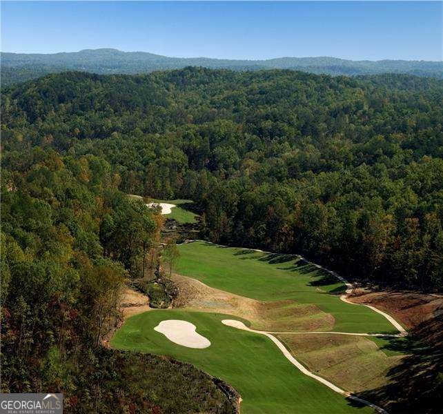 108 Waterview Court Waleska - Photo 25