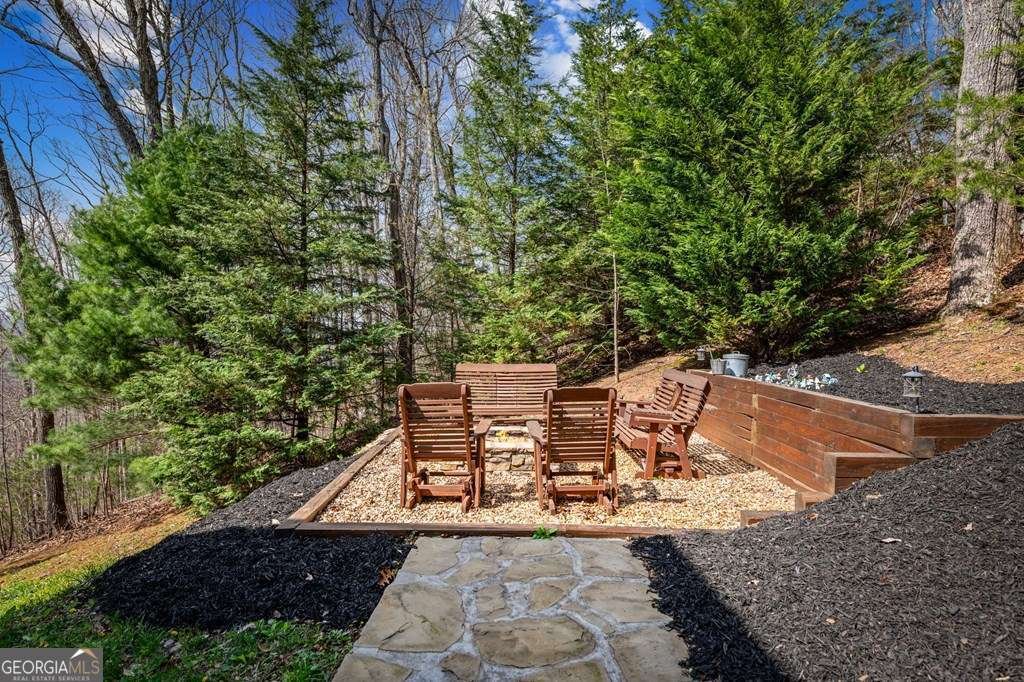 602 Overlook Drive Blue Ridge - Photo 18