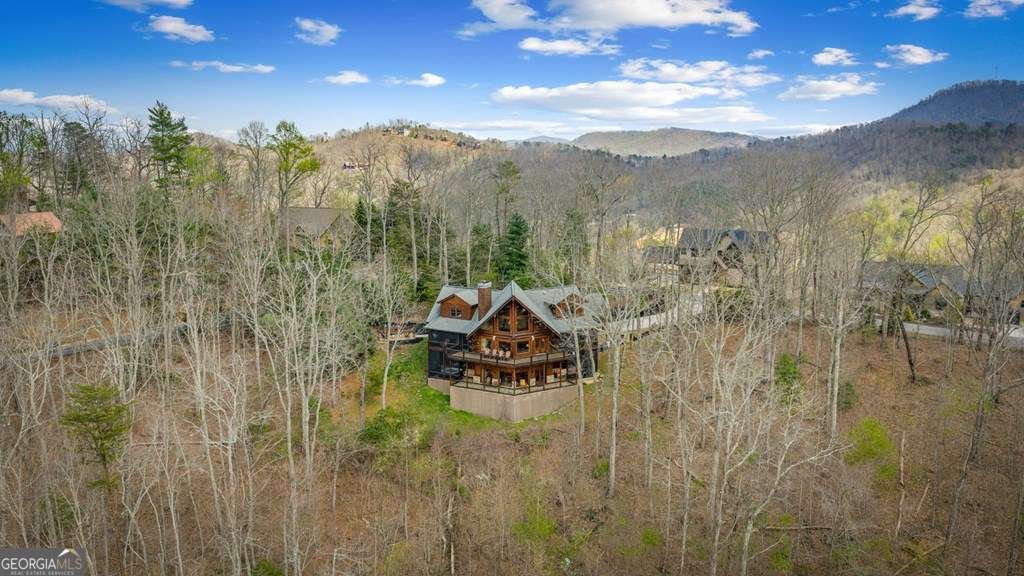 602 Overlook Drive Blue Ridge - Photo 90