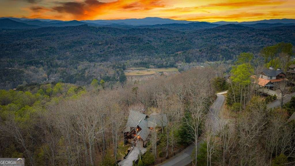 602 Overlook Drive Blue Ridge - Photo 91