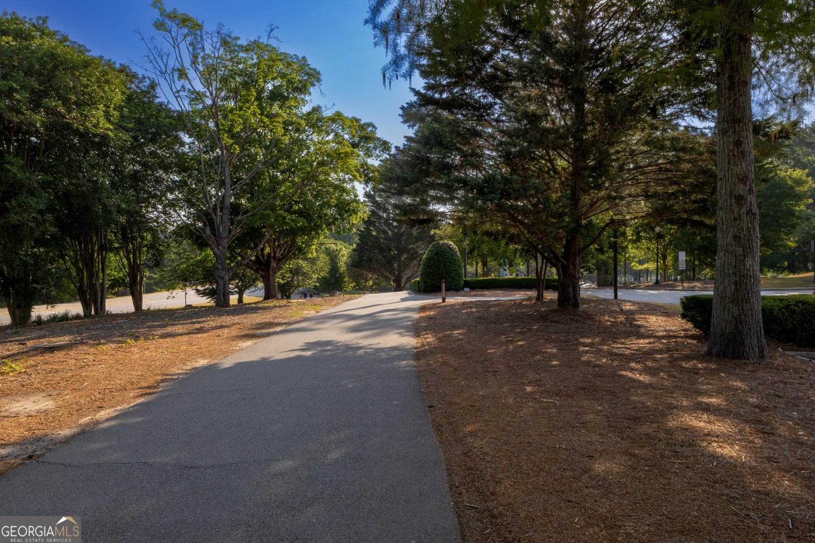 111 Twiggs Corner Peachtree City - Photo 28