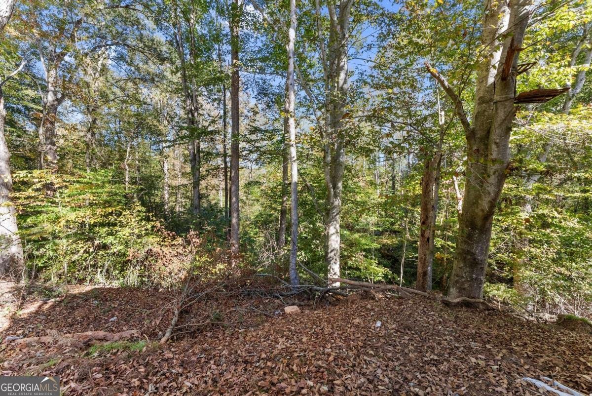 490 Magnolia Grove Place Cornelia - Photo 22