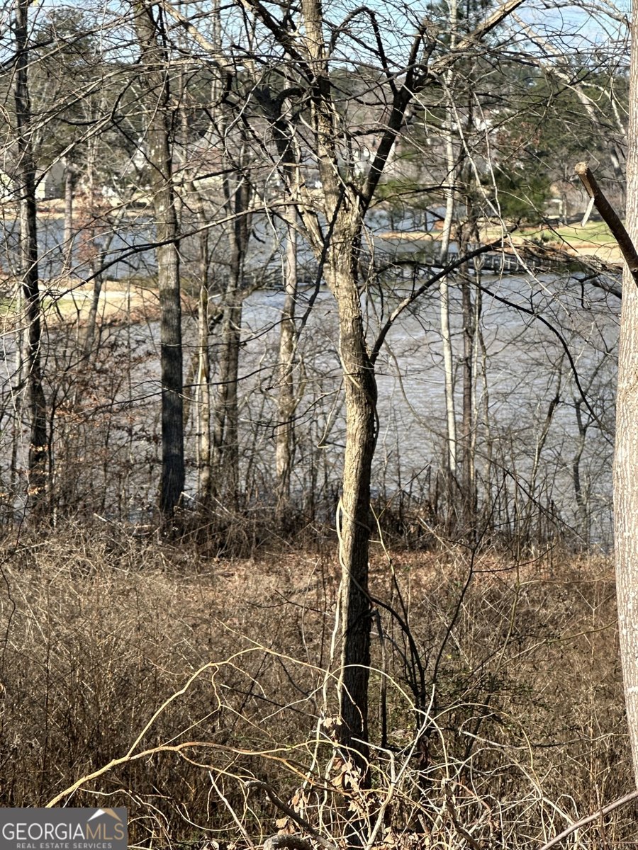 5012 Fairview Circle Villa Rica - Photo 1