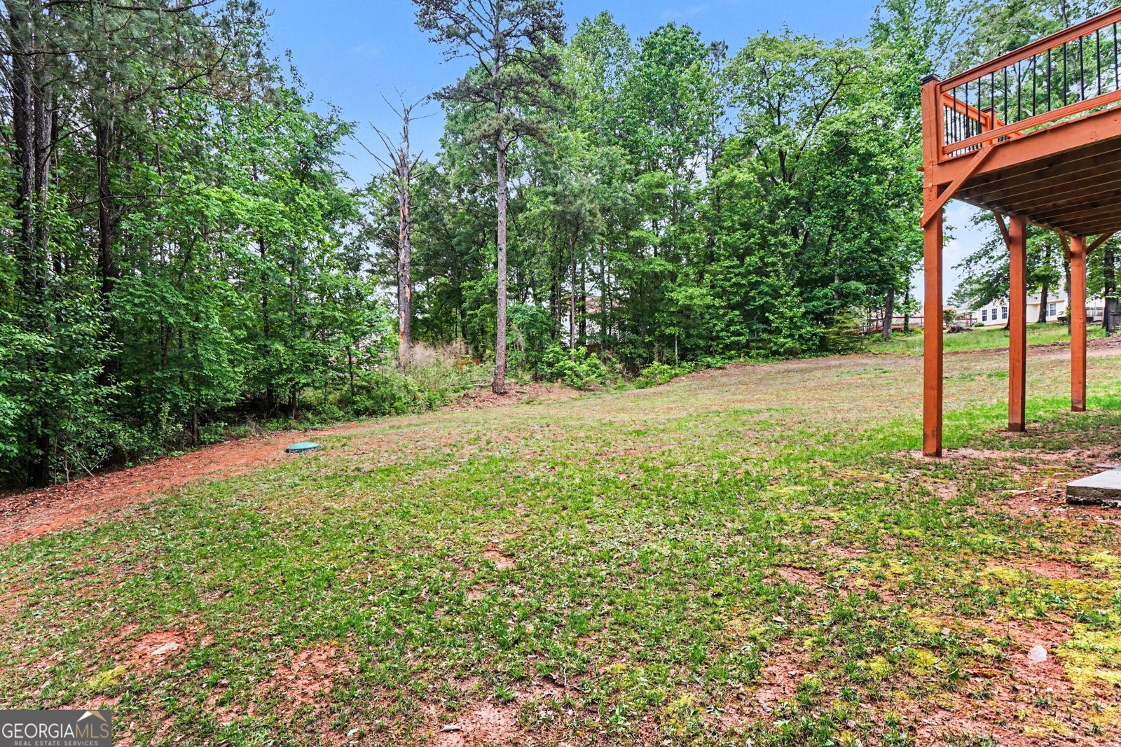 1705 Littlebrook Court Loganville - Photo 51