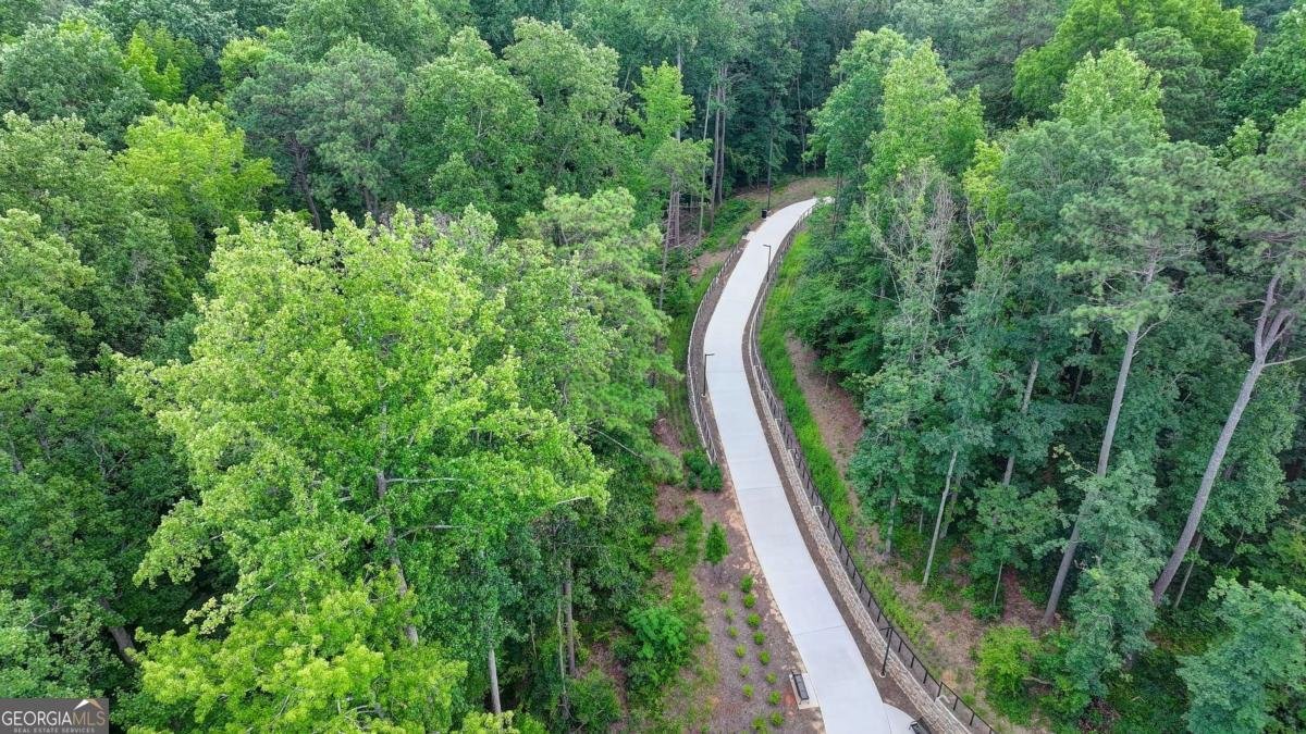 233 Atley Place Alpharetta - Photo 93