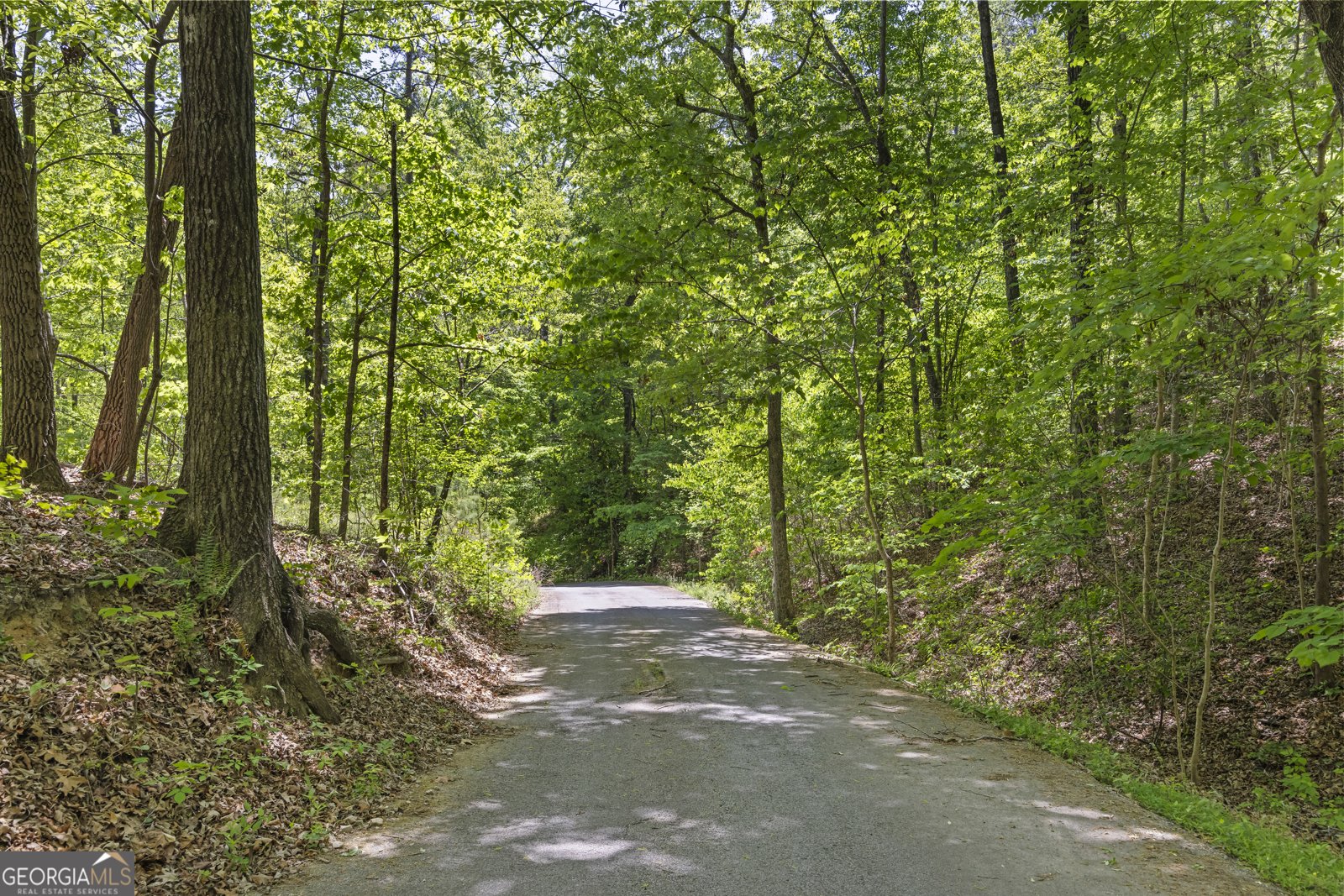 721 Scenic Drive Toccoa - Photo 106